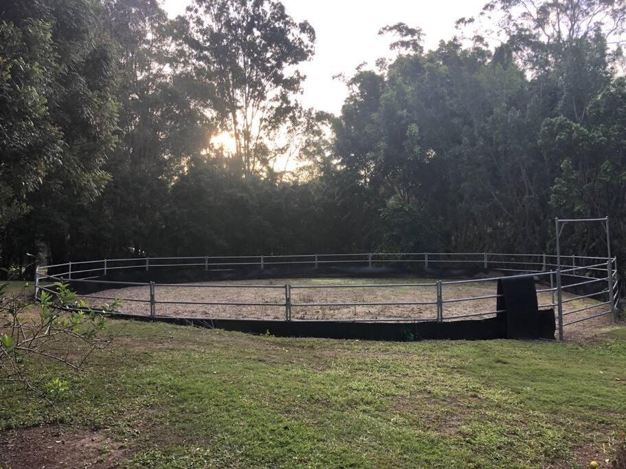 Gorgeous 2 Bedroom Tiny House Noosa Hinterland *