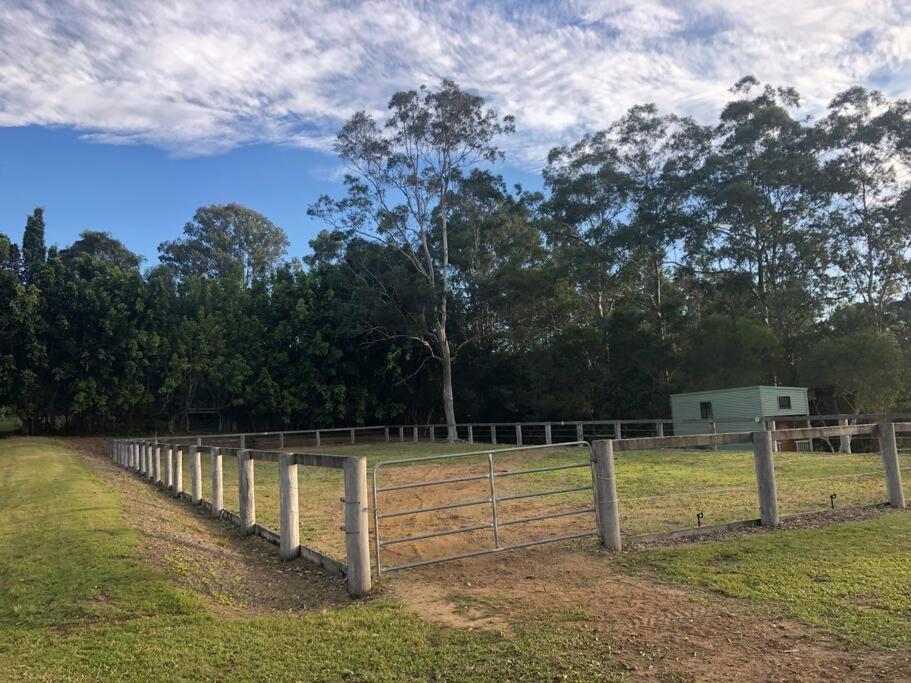 Gorgeous 2 Bedroom Tiny House Noosa Hinterland Holiday home Bollier